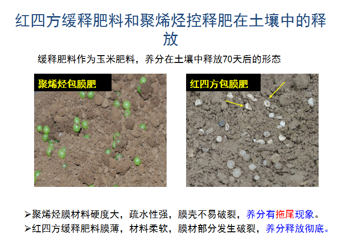 快猫成人网站缓释肥释放肥效展示